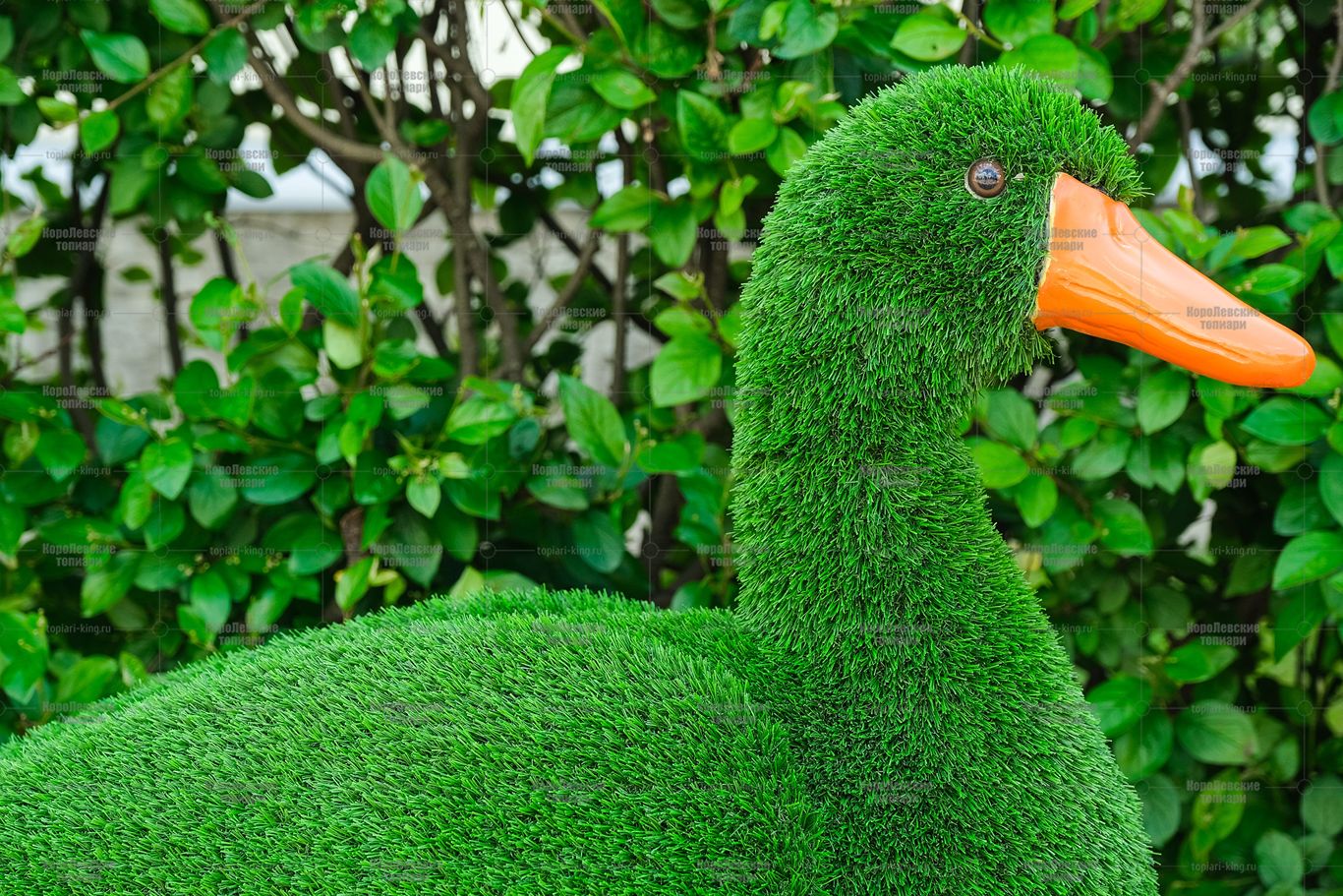 Топиари утка Кряша - газон Eco Топиари утка Кряша - газон Eco