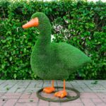 Топиари утка Кряша - газон Eco