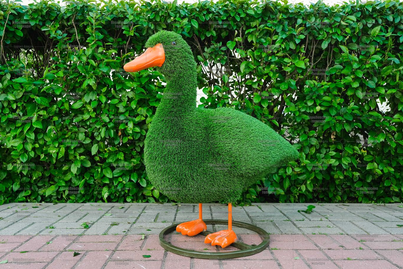 Топиари утка Кряша - газон Eco Топиари утка Кряша - газон Eco