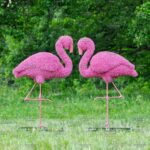 Топиари фламинго, Арина - газон Eco