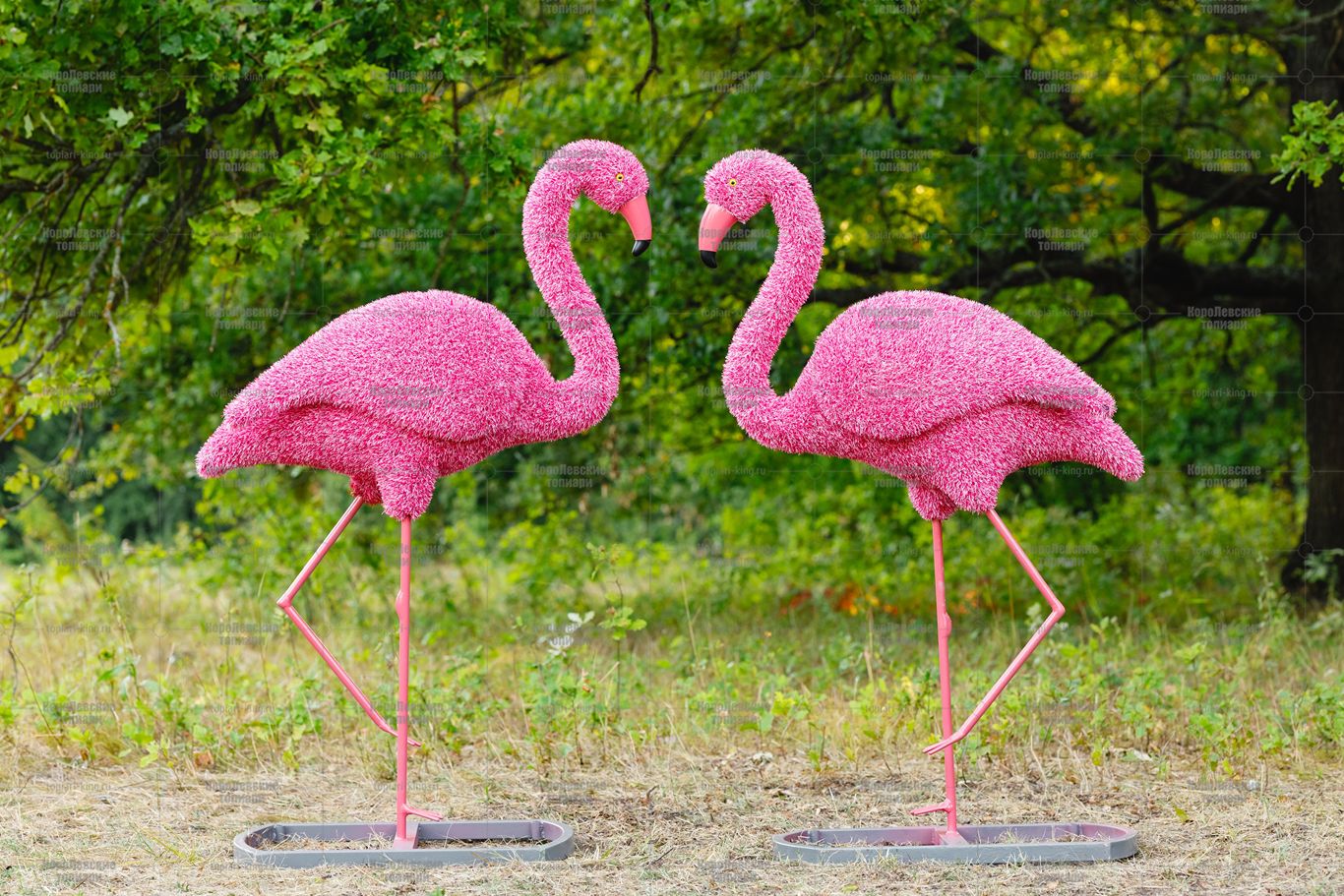 Топиари фламинго, Карина - газон Eco Топиари фламинго, Карина - газон Eco