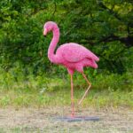 Топиари фламинго, Карина - газон Eco