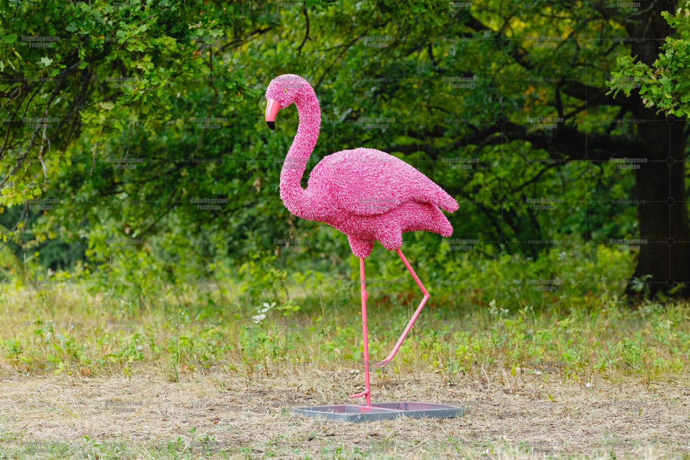Топиари фламинго, Карина - газон Eco Топиари фламинго, Карина - газон Eco