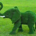 Топиари слон африканский - газон Eco