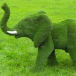 Топиари слон африканский - газон Eco +