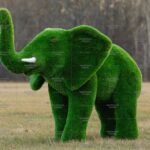 Топиари слон африканский - газон Premium