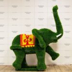 Топиари слон Борк - газон Eco