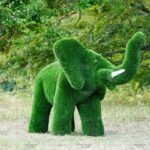 Топиари слон Лермон - газон Premium