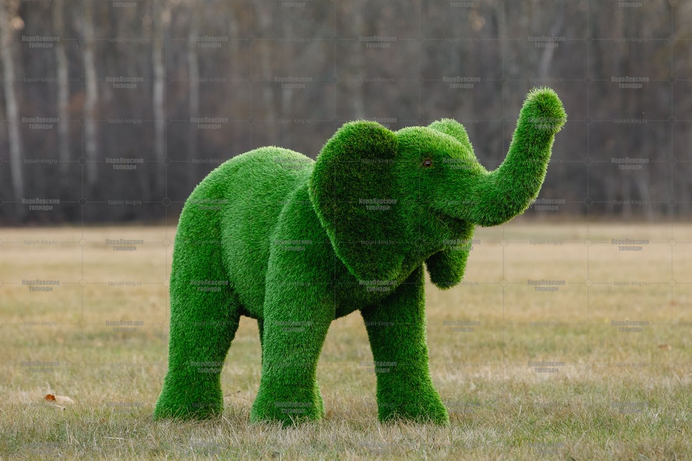 Топиари слоник Антошка - газон Premium Топиари слоник Антошка - газон Premium