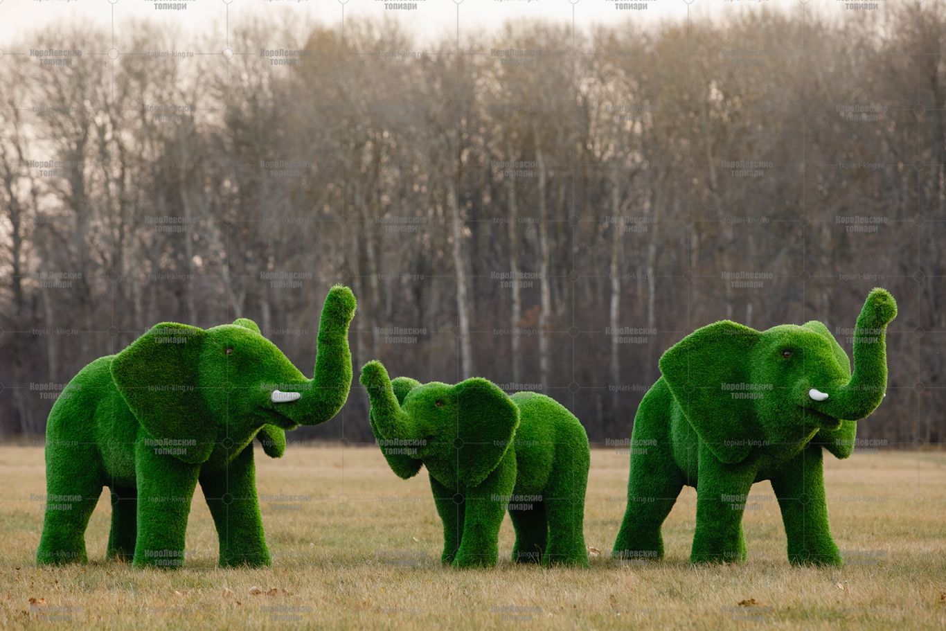 Топиари слоник Антошка - газон Premium Топиари слоник Антошка - газон Premium