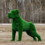 Топиари собака Баскервиль - газон Eco