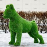 Топиари собака Баскервиль - газон Premium