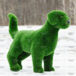 Топиари собака охотничья - газон Deluxe