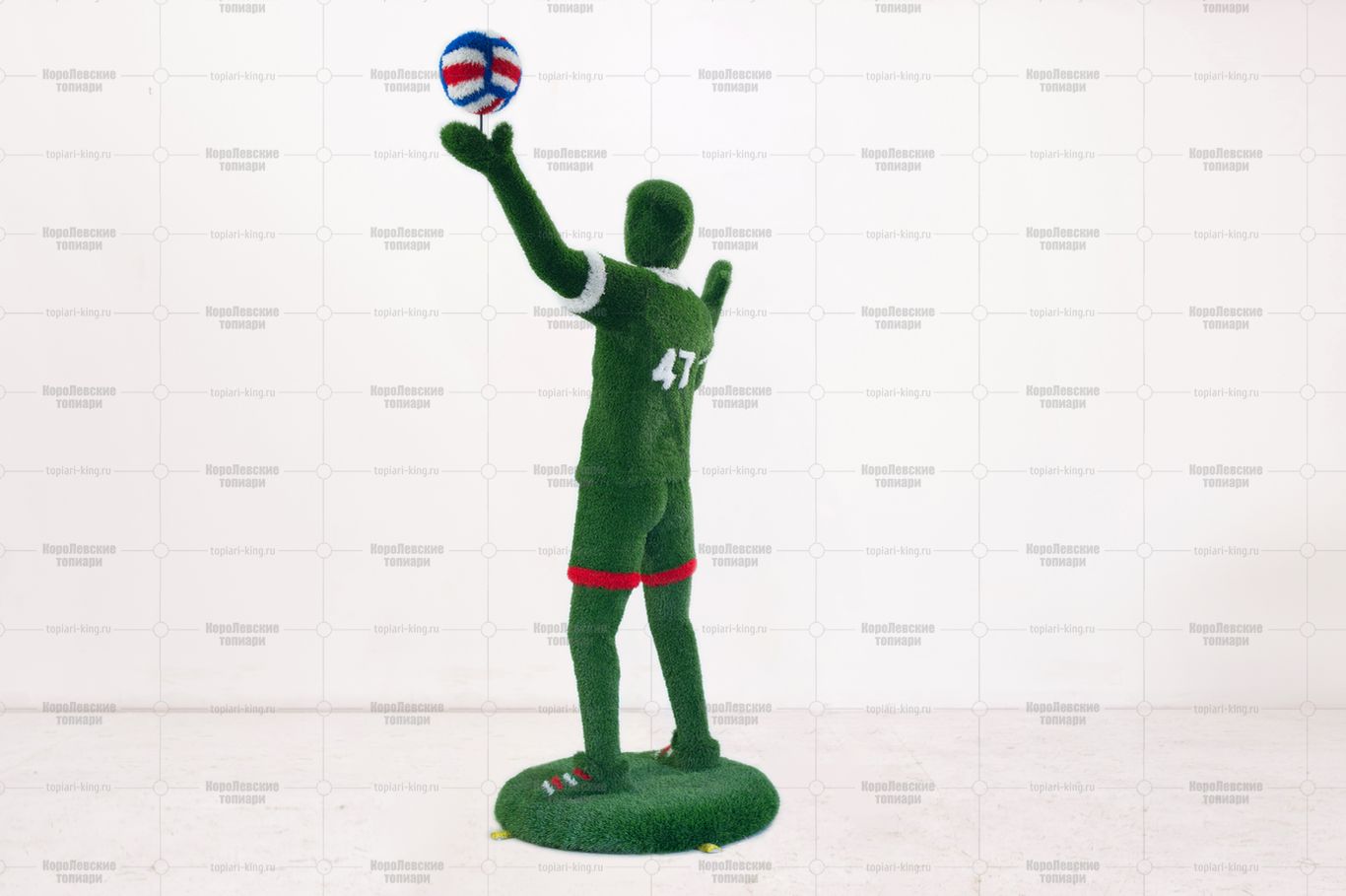 Топиари волейболист - газон Есо Топиари волейболист - газон Есо