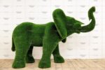 Топиари слон Абхей - газон Deluxe Green