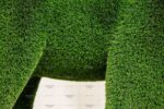 Топиари слон Абхей - газон Deluxe Green