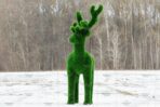 Топиари олень Козинак, самец - газон Deluxe Green