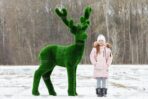 Топиари олень Козинак, самец - газон Deluxe Green