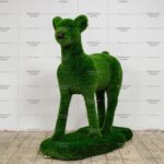 Топиари олень малыш, Сева - газон Eco