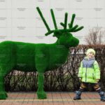 Топиари олень Норди II - газон Eco