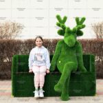 Топиари олень, Алекс (без лавочки) - газон Premium