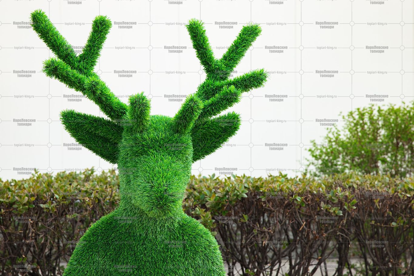 Топиари олень, Варлам (без лавочки) - газон Eco Green Топиари олень, Варлам (без лавочки) - газон Eco Green