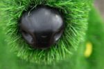 Топиари олень, малыш Орех - газон Eco Green