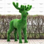 Топиари олень, малыш Орех - газон Eco Green