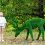 Топиари олень, пасется - газон Eco