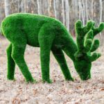 Топиари олень, пасется - газон Premium