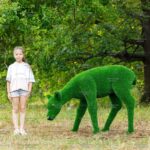 Топиари олень, самочка - газон Eco