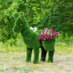 Топиари ослик с кашпо - газон Deluxe