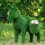 Топиари ослик с кашпо, газон Eco