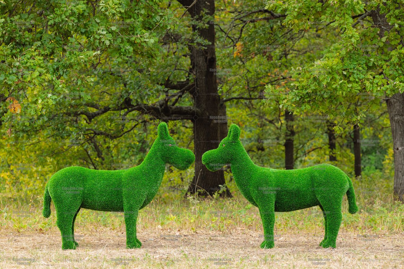 Топиари ослик Томми, без кашпо - газон Eco Топиари ослик Томми, без кашпо - газон Eco