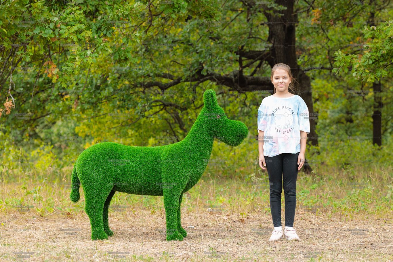 Топиари ослик Томми, без кашпо - газон Eco Топиари ослик Томми, без кашпо - газон Eco