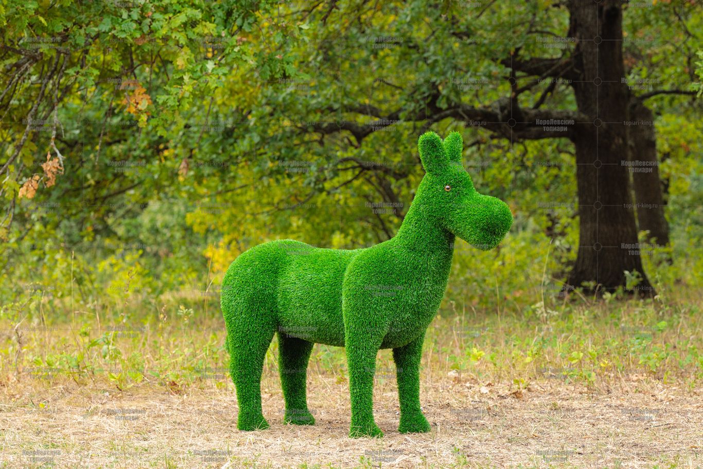 Топиари ослик Томми, без кашпо - газон Eco Топиари ослик Томми, без кашпо - газон Eco