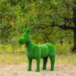 Топиари ослик Томми, без кашпо - газон Eco