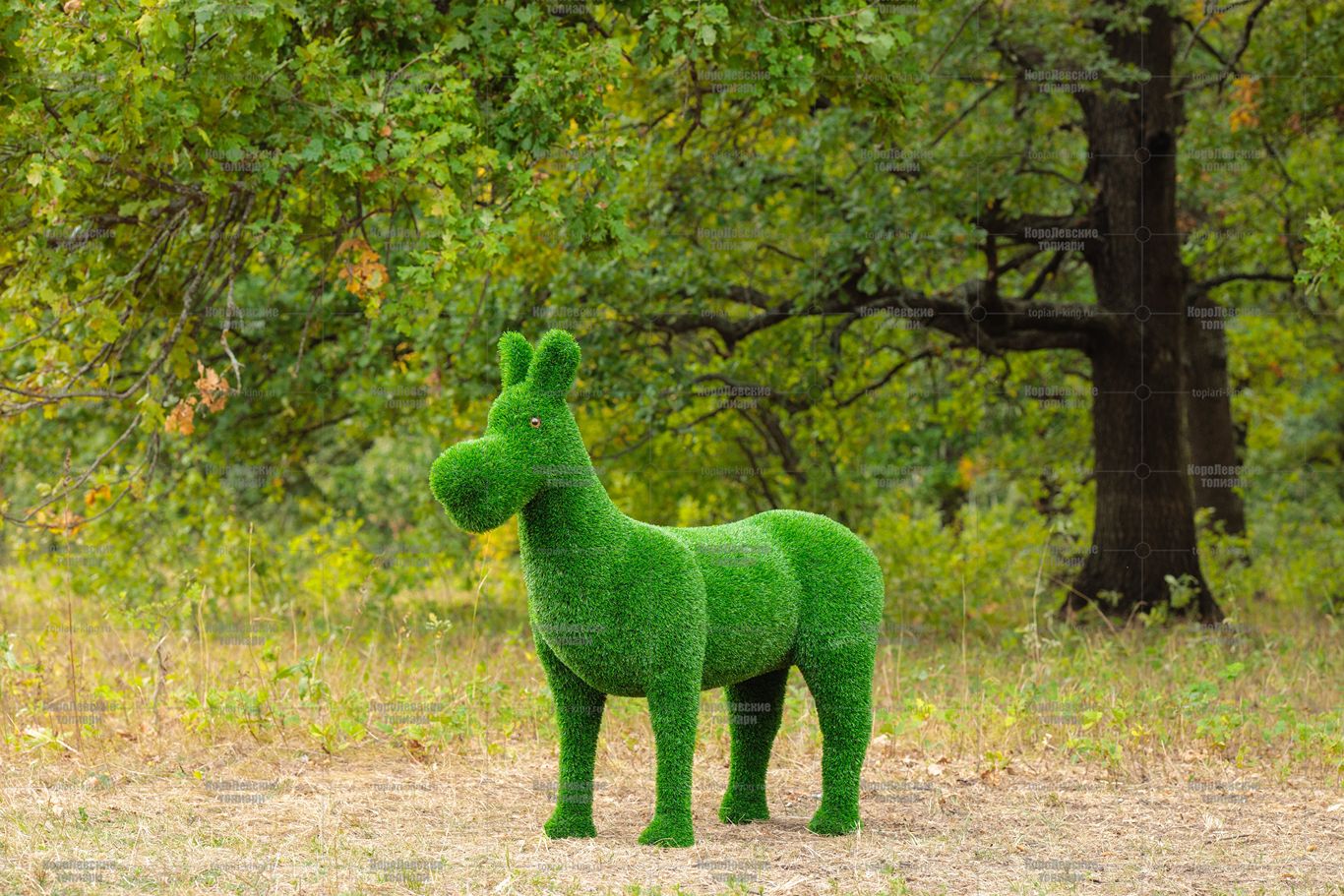 Топиари ослик Томми, без кашпо - газон Eco Топиари ослик Томми, без кашпо - газон Eco