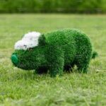 Топиари поросенок в кепке - газон Eco
