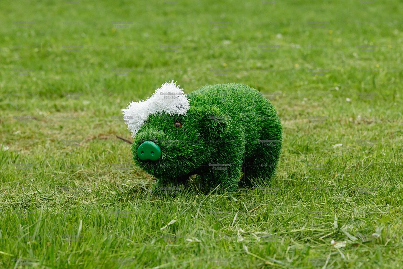 Топиари поросенок с бантиком - газон Eco Топиари поросенок с бантиком - газон Eco