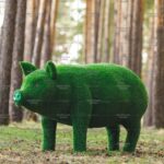 Топиари свинка мама - газон Eco