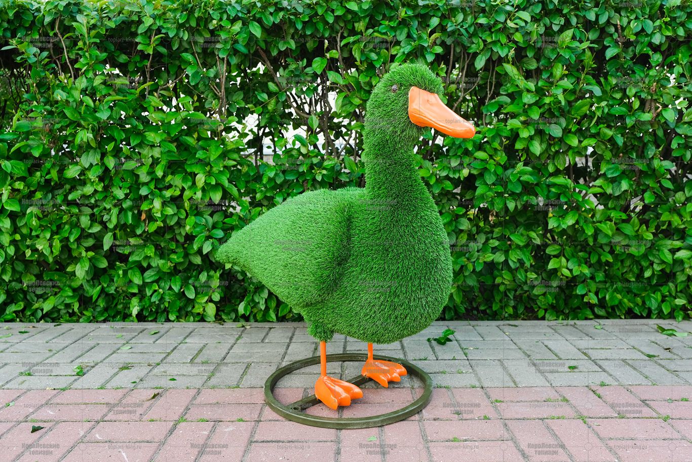 Топиари композиция утки - газон Eco Топиари композиция утки - газон Eco