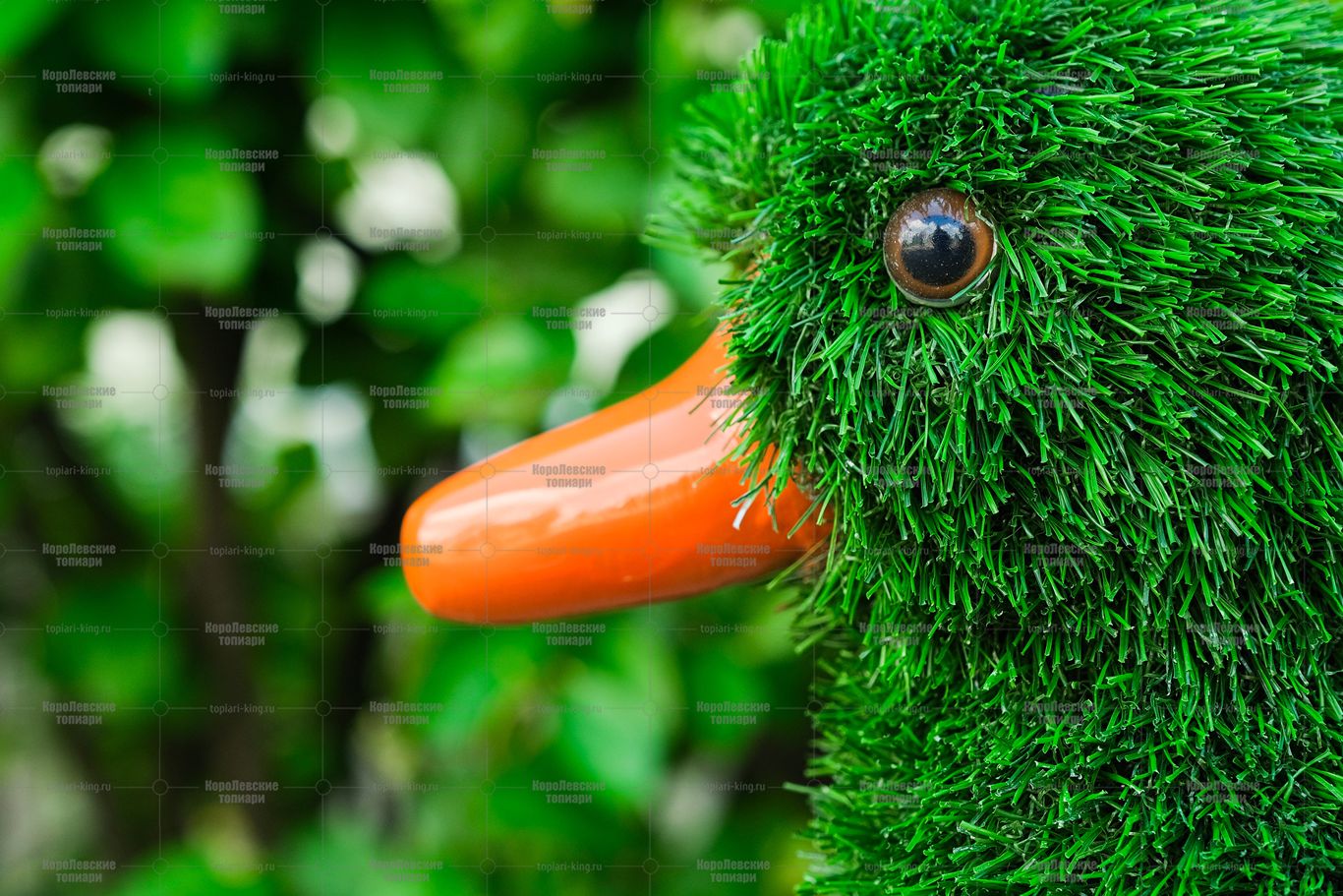 Топиари композиция утки - газон Eco Топиари композиция утки - газон Eco