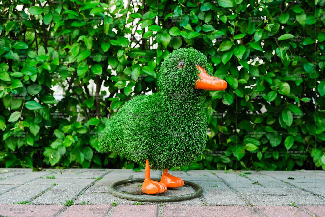 Топиари композиция утки - газон Eco Топиари композиция утки - газон Eco