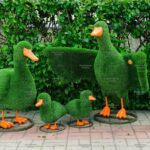 Топиари композиция утки - газон Eco