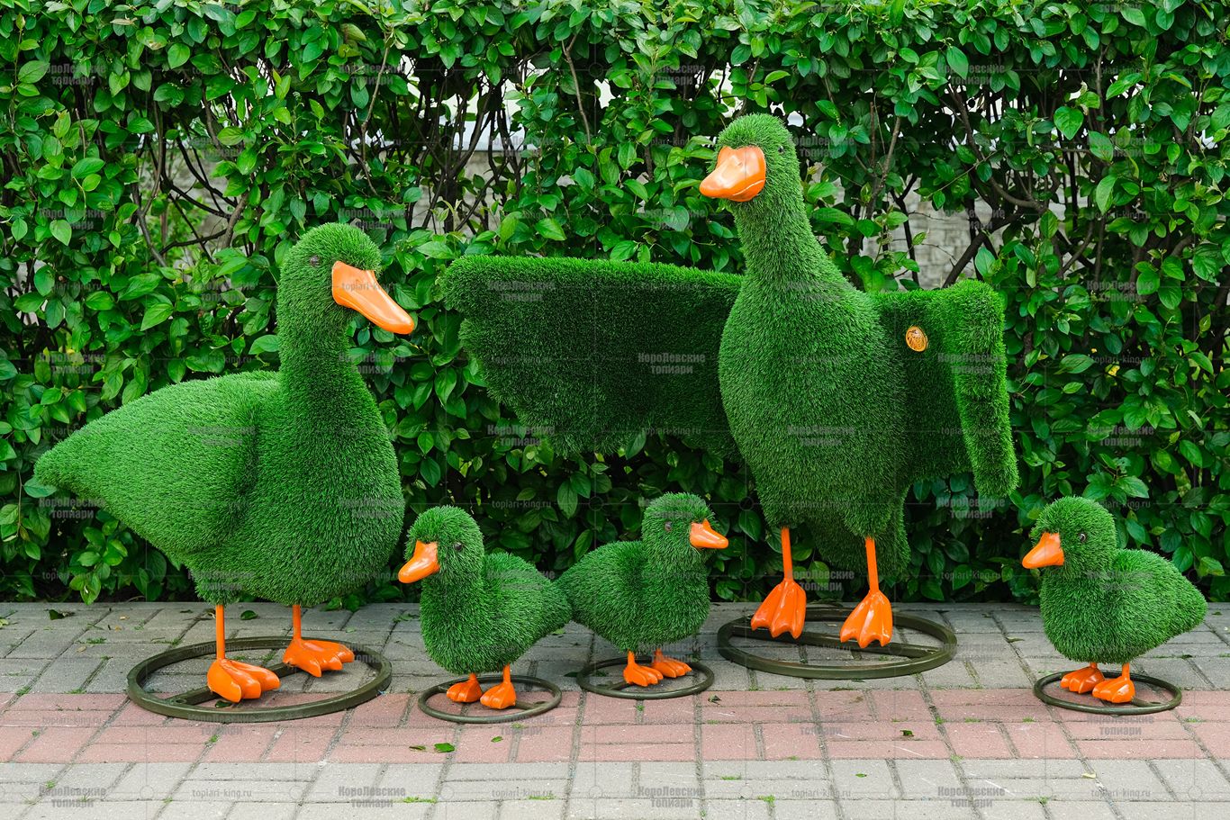 Топиари композиция утки - газон Eco Топиари композиция утки - газон Eco