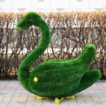 Топиари лебедь Авелин - газон Deluxe