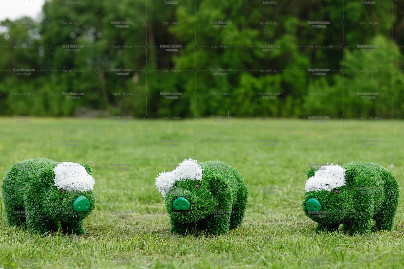 Топиари композиция поросята, детвора, 3 шт - газон Eco Топиари композиция поросята, детвора, 3 шт - газон Eco