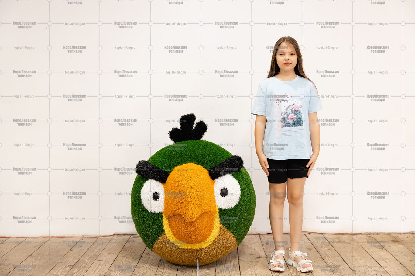 Топиари композиция птицы Моритэ и Пасто - газон Eco Топиари композиция птицы Моритэ и Пасто - газон Eco