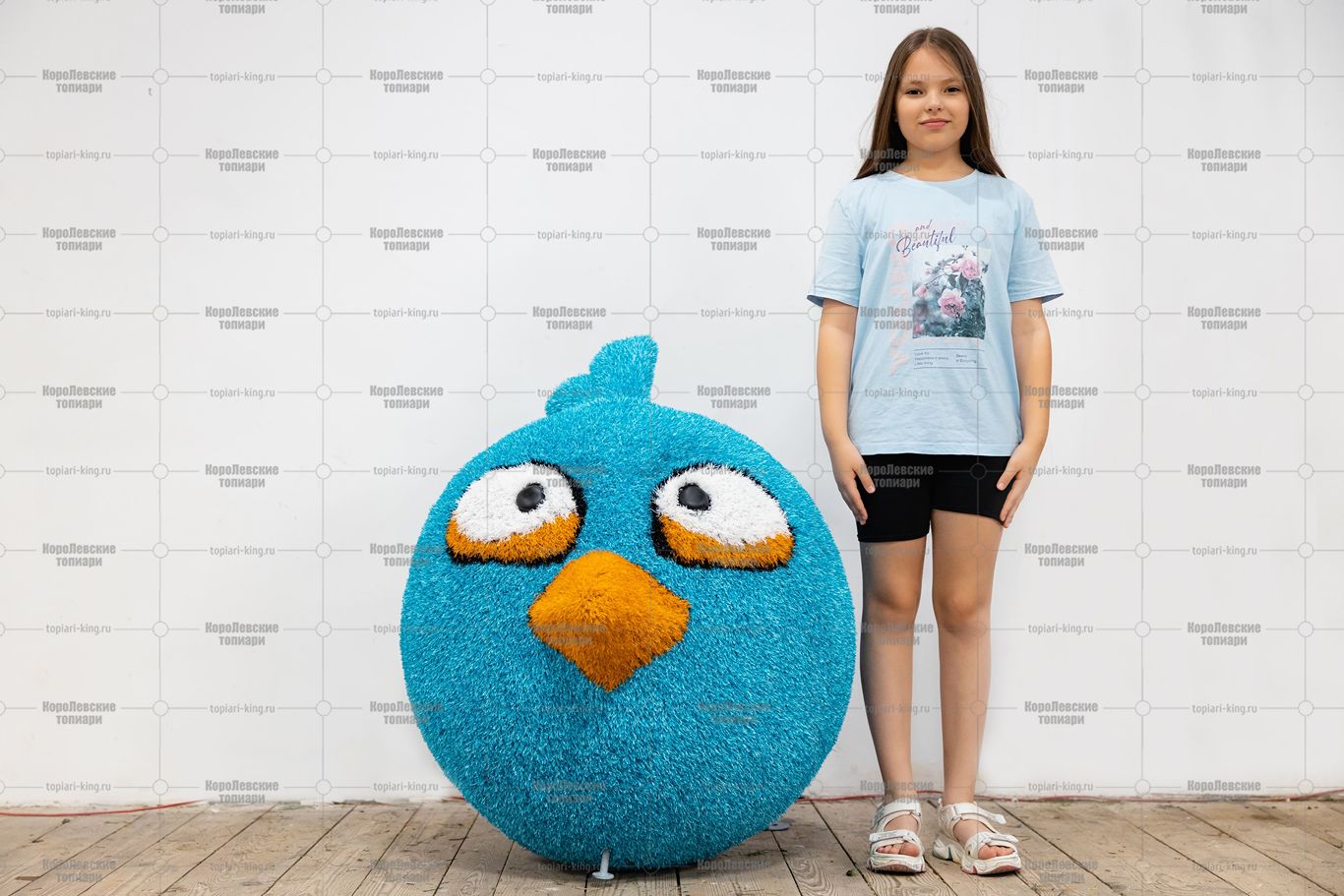 Топиари композиция птицы Моритэ и Пасто - газон Eco Топиари композиция птицы Моритэ и Пасто - газон Eco